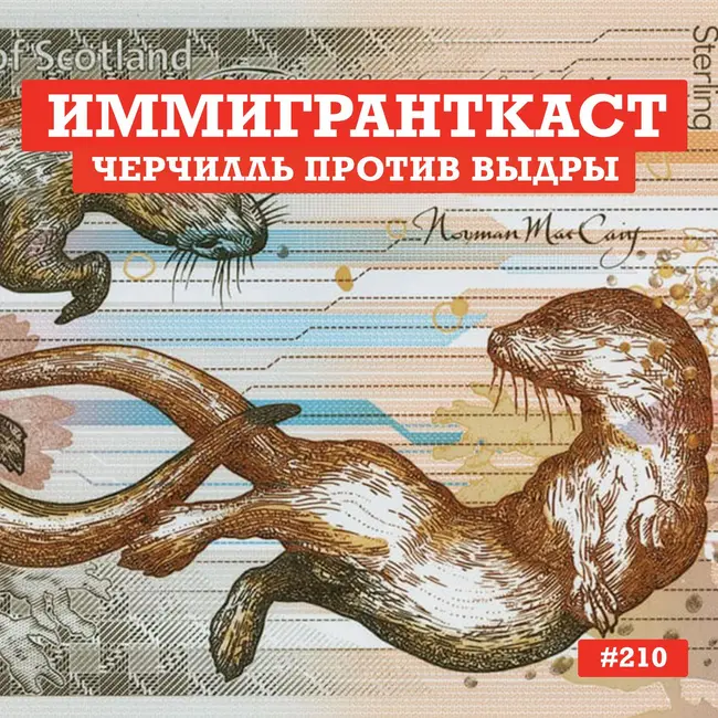 Черчилль против Выдры - выпуск 210