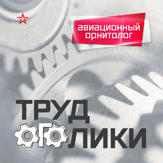 Профессия: авиационный орнитолог