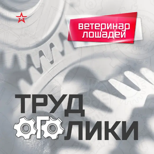 Профессия: ветеринар лошадей