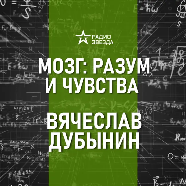 Мозг и слух. Лекция нейробиолога Вячеслава Дубынина