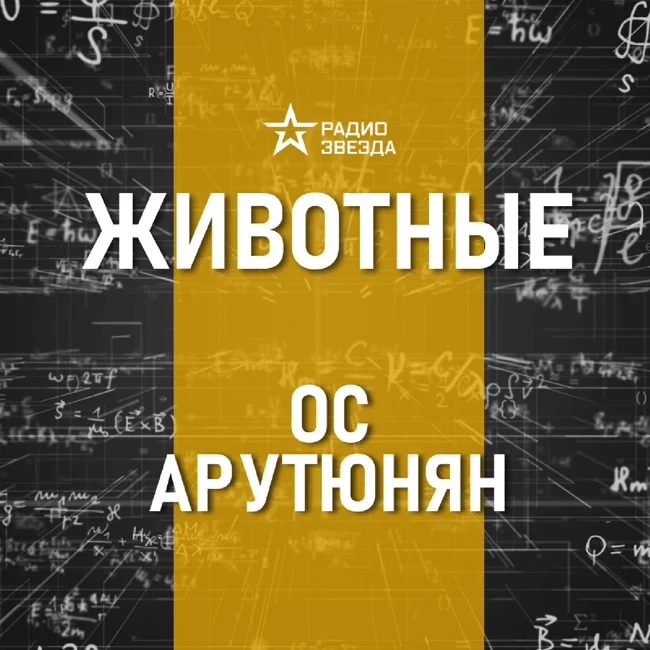 Собаки против кошек. Лекция Оса Арутюняна.