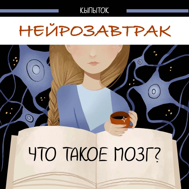 Что такое мозг? | Нейрозавтрак | Вера Толченникова