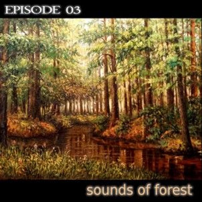 sound 03 sounds of forest