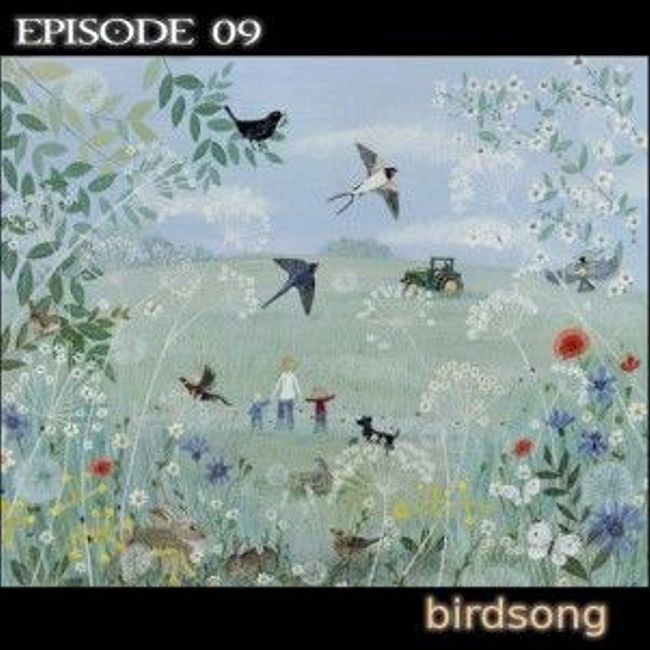 sound 09 birdsong