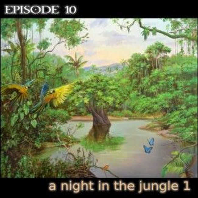 sound 10 a night in the jungle 1