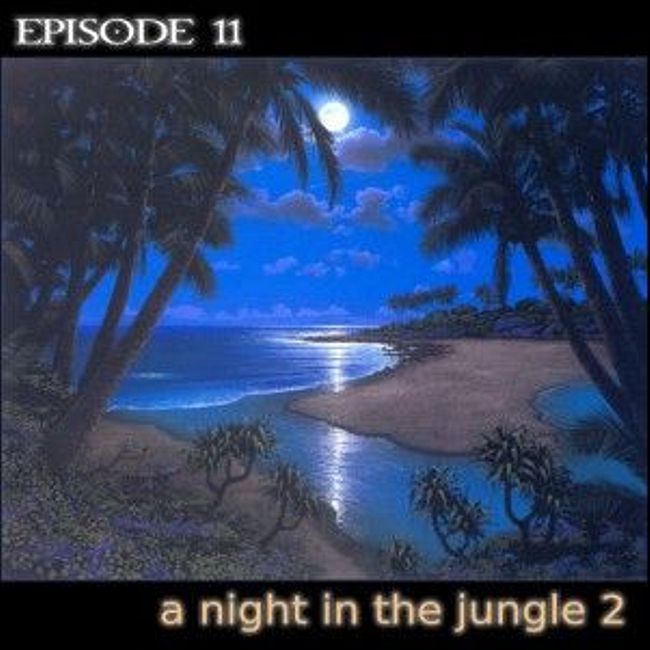 sound 11 a night in the jungle 2