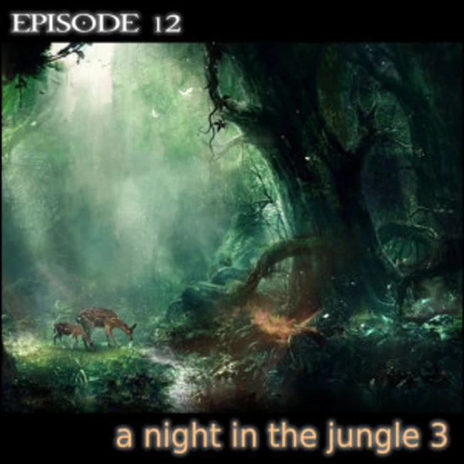 sound 12 a night in the jungle 3