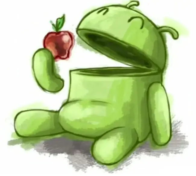 Есть ли надежды на Apple? Союз Microsoft и Nokia. Правильные Андроид-устройства.