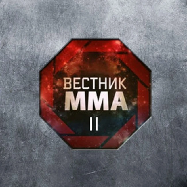Как организовать ММА-турнир