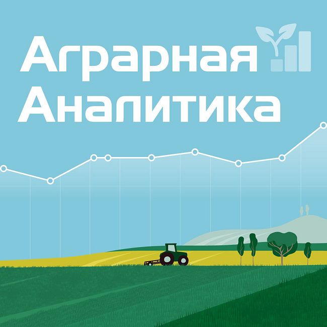 В России резко выросло производство бобовых