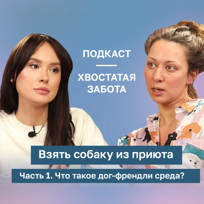 Как выбрать собаку из приюта? Ч.1