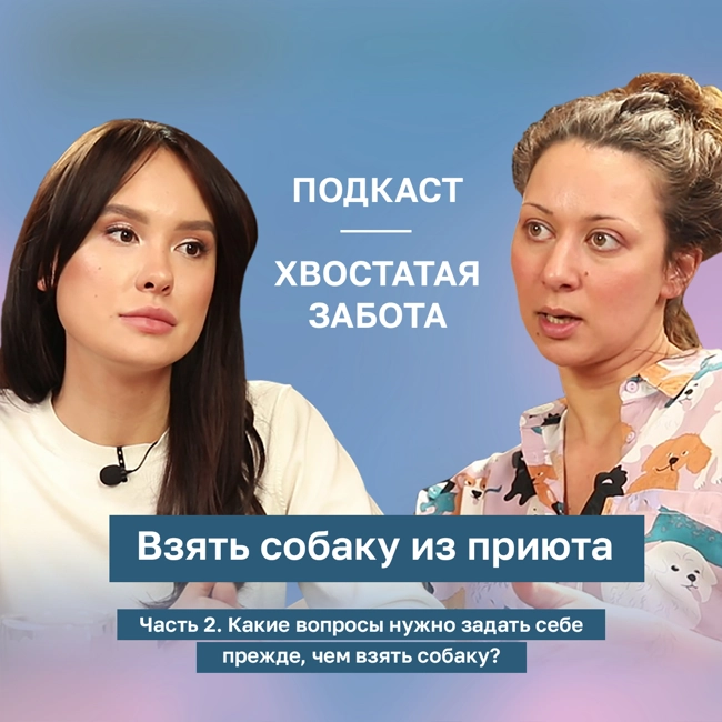 Какие вопросы нужно задать себе прежде, чем взять собаку?