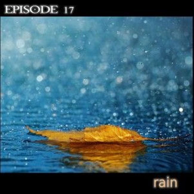 sound 17 rain