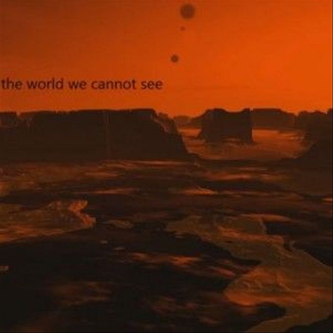 095 : the world we cannot see