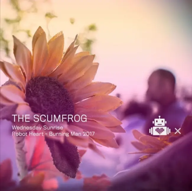 The Scumfrog - Robot Heart - 10 Year Anniversary - Burning Man 2017