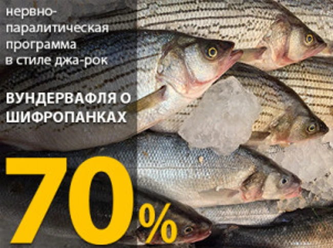 Вундервафля: «шифропанки в кашу»