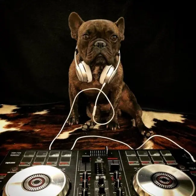 Time To Chill 39 by dj Trem