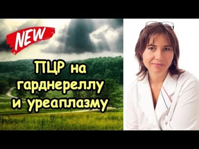 ПЦР на гарднереллу и уреаплазму положительная