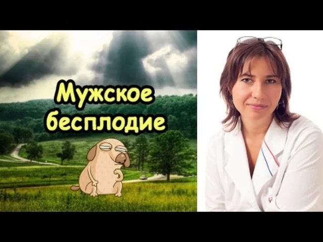 Мужское бесплодие и образ жизни
