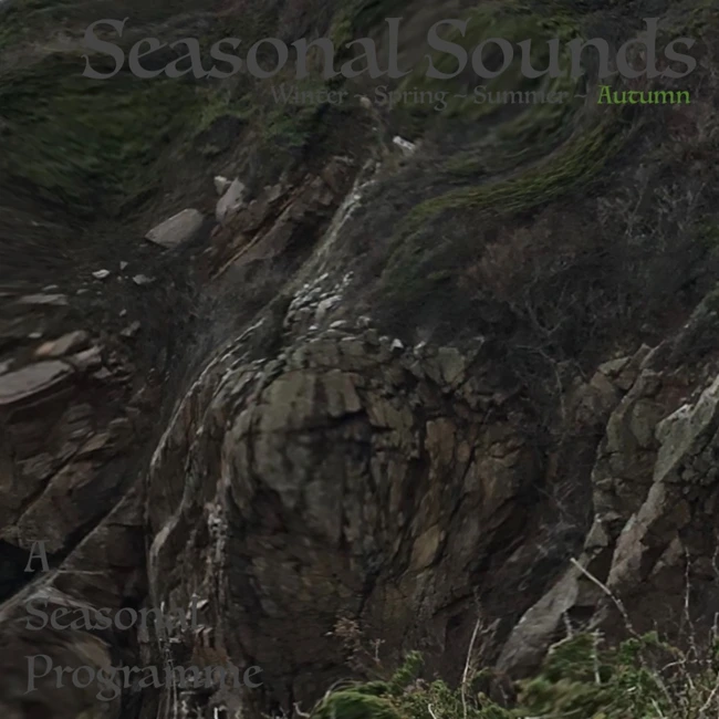 Seasonal Sounds #8: Autumn