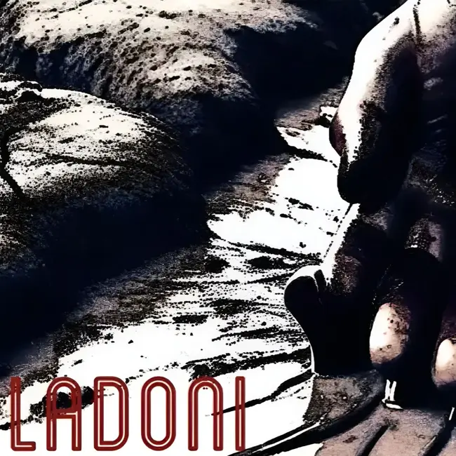 Netzke ‒ Ladoni (Compas Polysorb Edit) [Free Download]