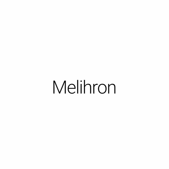 The Void Special #4: Melihron (Live)