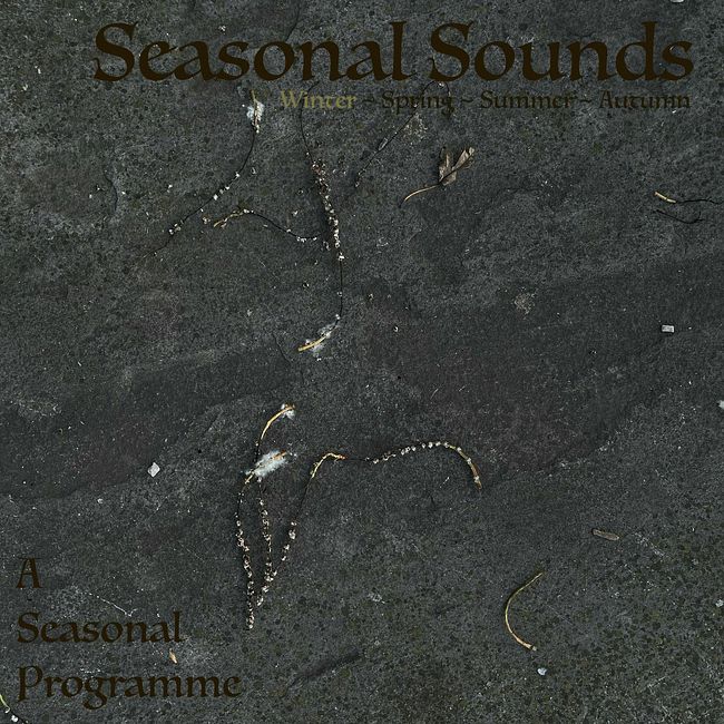 Seasonal Sounds #5: Winter