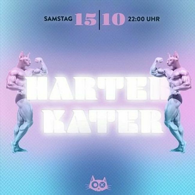 Janosch Ulm ‒ Live@Kater Blau Berlin | Harter - Kater