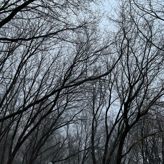 Ilya Fedorov ‒ February Podcast, 2025 [Vinyl Only]