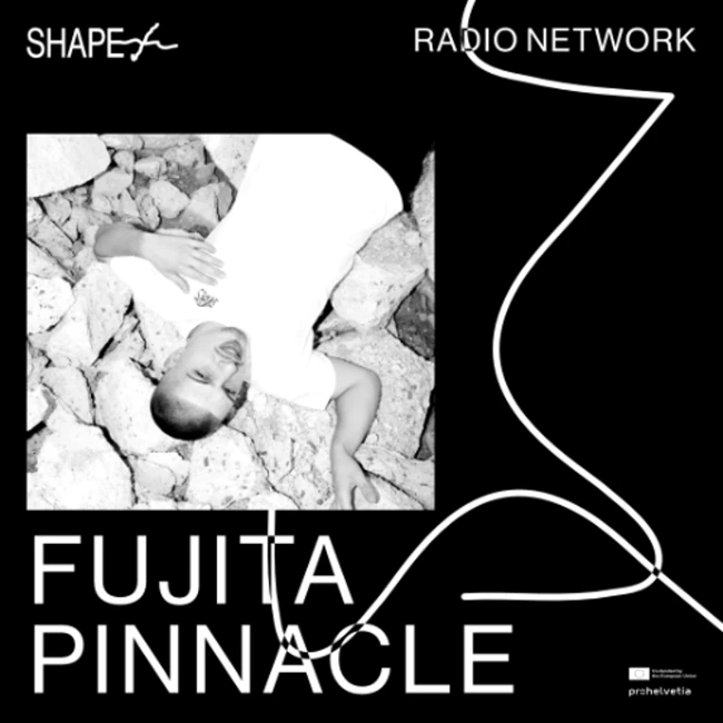 Shape+ : Fujita Pinnacle