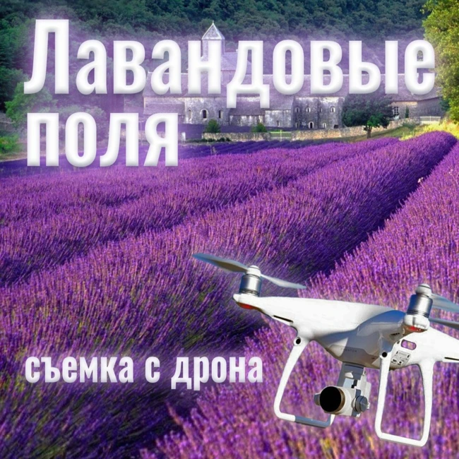 Лавандовые поля Прованса