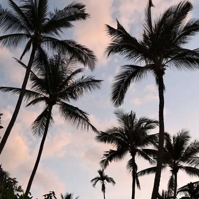 DJ A:MN ‒ Koh Samui DJ Set, 2026