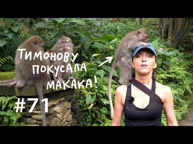 Почему мы любим массаж и сплетни? // Всё как у зверей #71