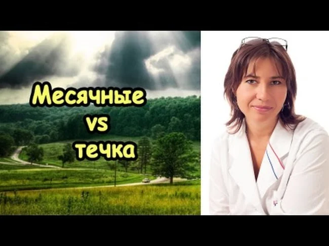 Месячные vs течка