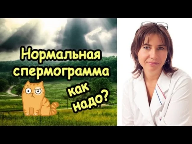 Показатели нормальной спермограммы