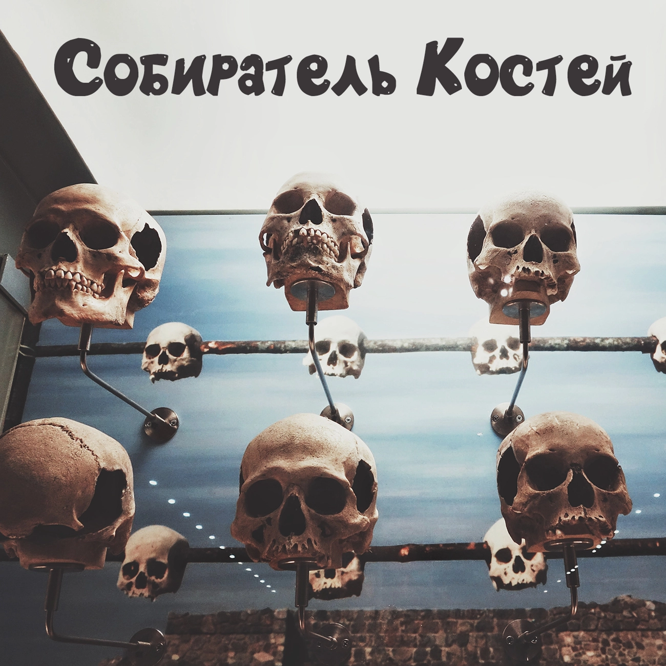 Собиратель Костей (Д. Дивер)