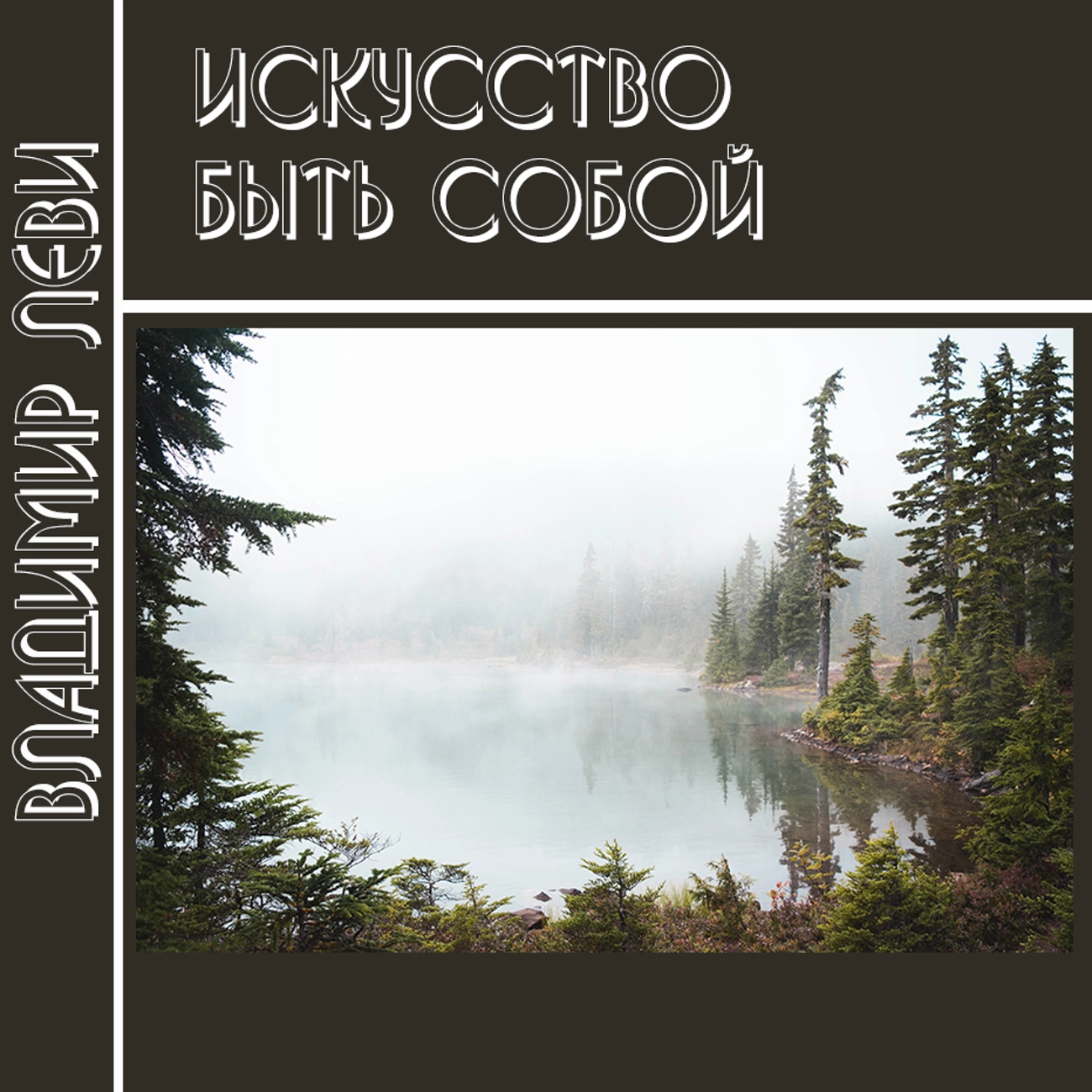 Искусство быть собой (Владимир Леви)