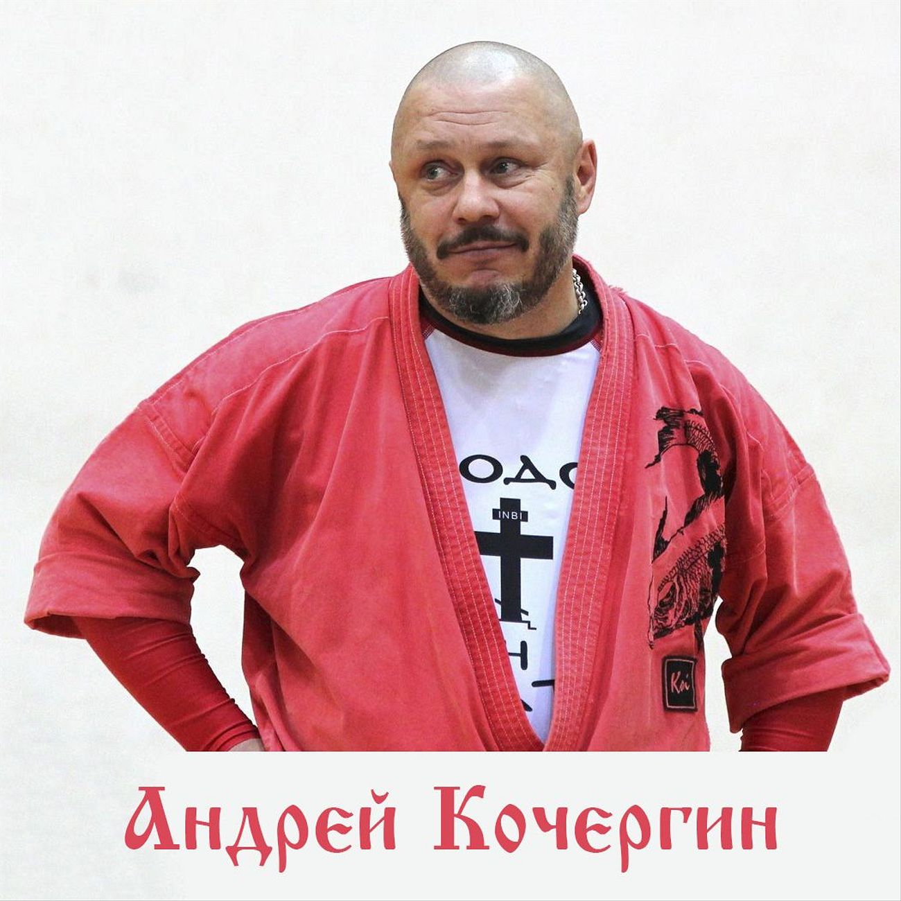 Андрей Кочергин