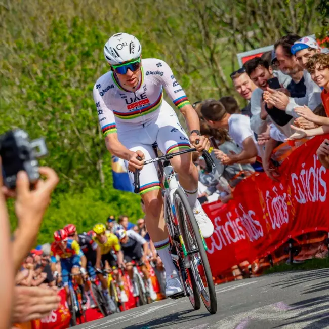 Народження суперзірки Сейксаса чи звична домінація Погі або Ремко? Передмова до Льєж-Бастонь-Льєж