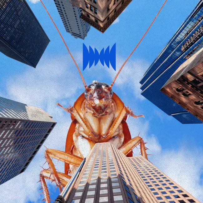 This American Roach