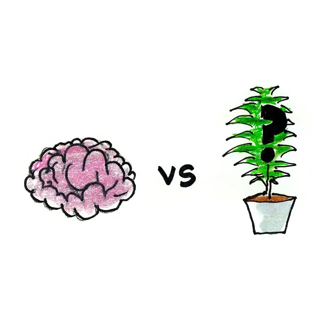 Smarty Plants