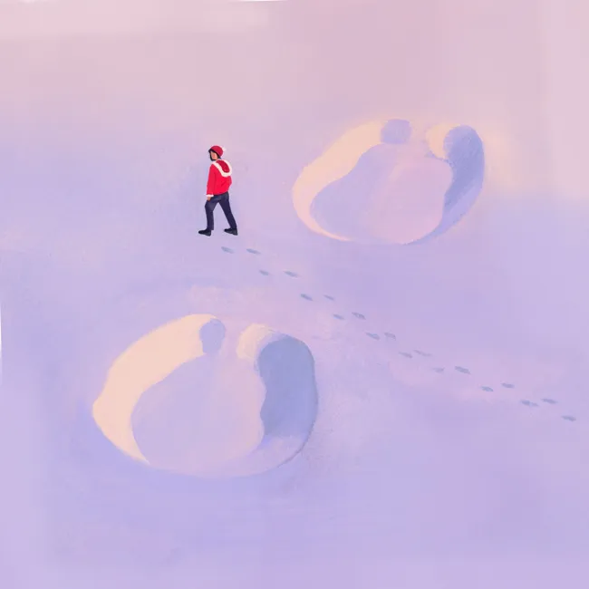 Terrestrials: The Snow Beast