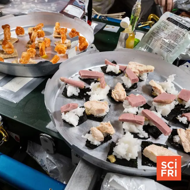 How can astronaut food be better?
