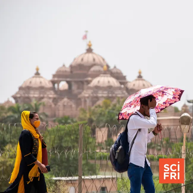 The reality of living with extreme heat in India