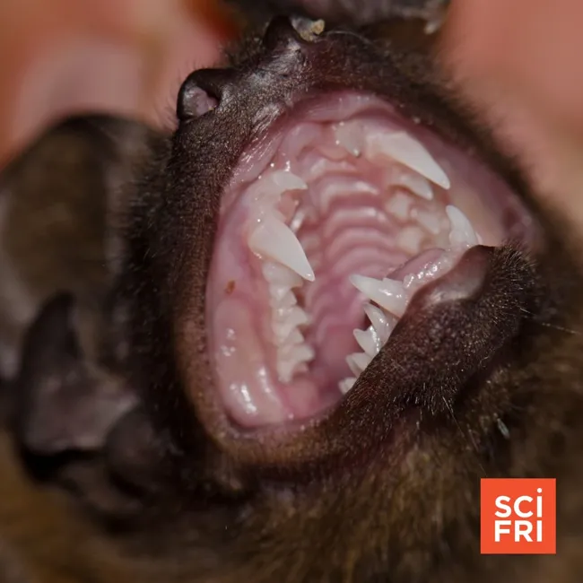 A Halloween Monster Mashup, And A Spooky Lakes Tour