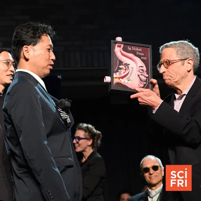 Fingernails And Indigestion At The 2025 Ig Nobel Prizes