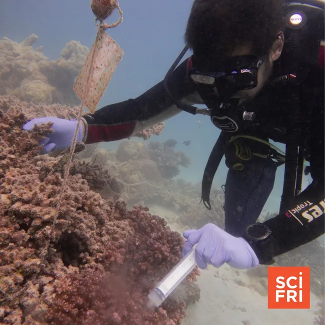 Can A Microbe Conservation Movement Take Off?