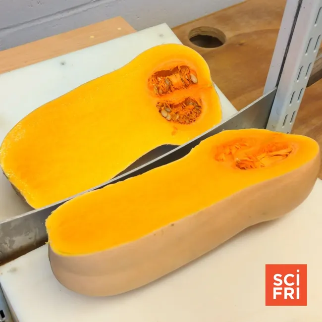 Everything You Never Knew About Squash And Pumpkins