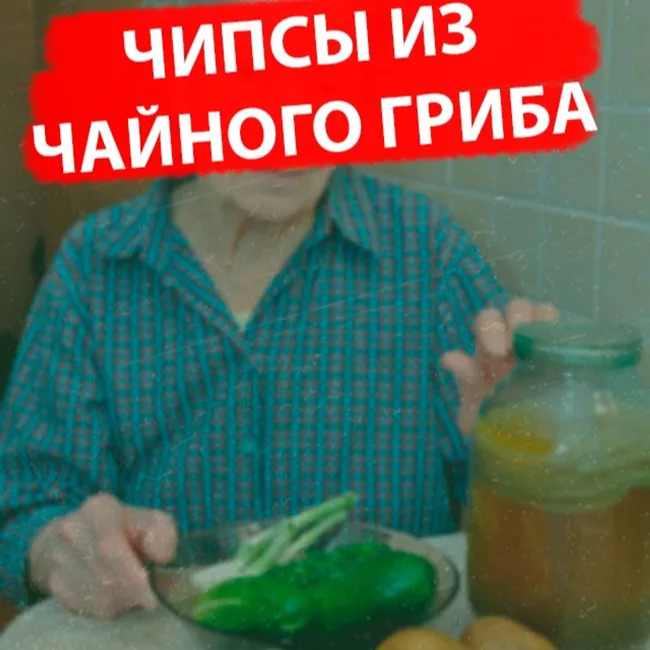 Чипсы из чайного гриба