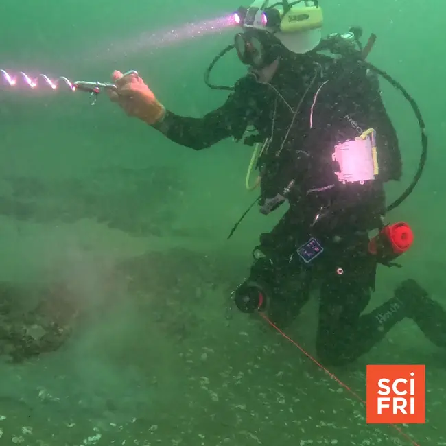Underwater archeology reveals clues about Ice Age humans